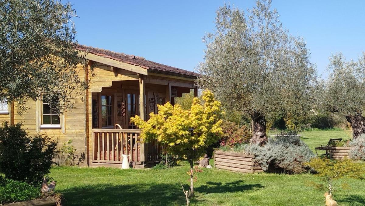 Chalet Bois Pleine Campagne A Pontigny Exterior photo