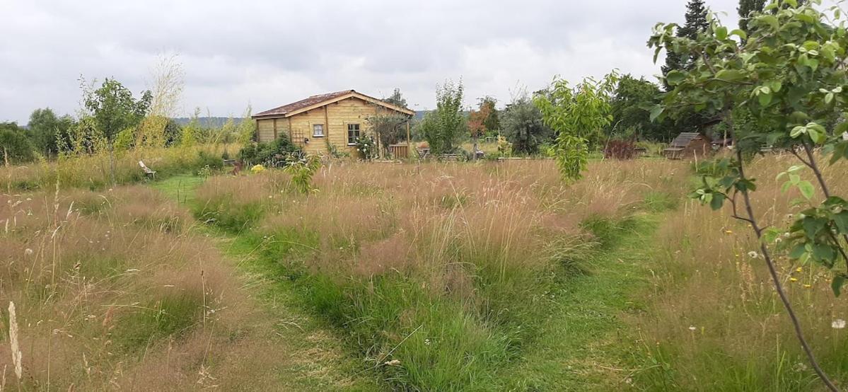 Chalet Bois Pleine Campagne A Pontigny Exterior photo